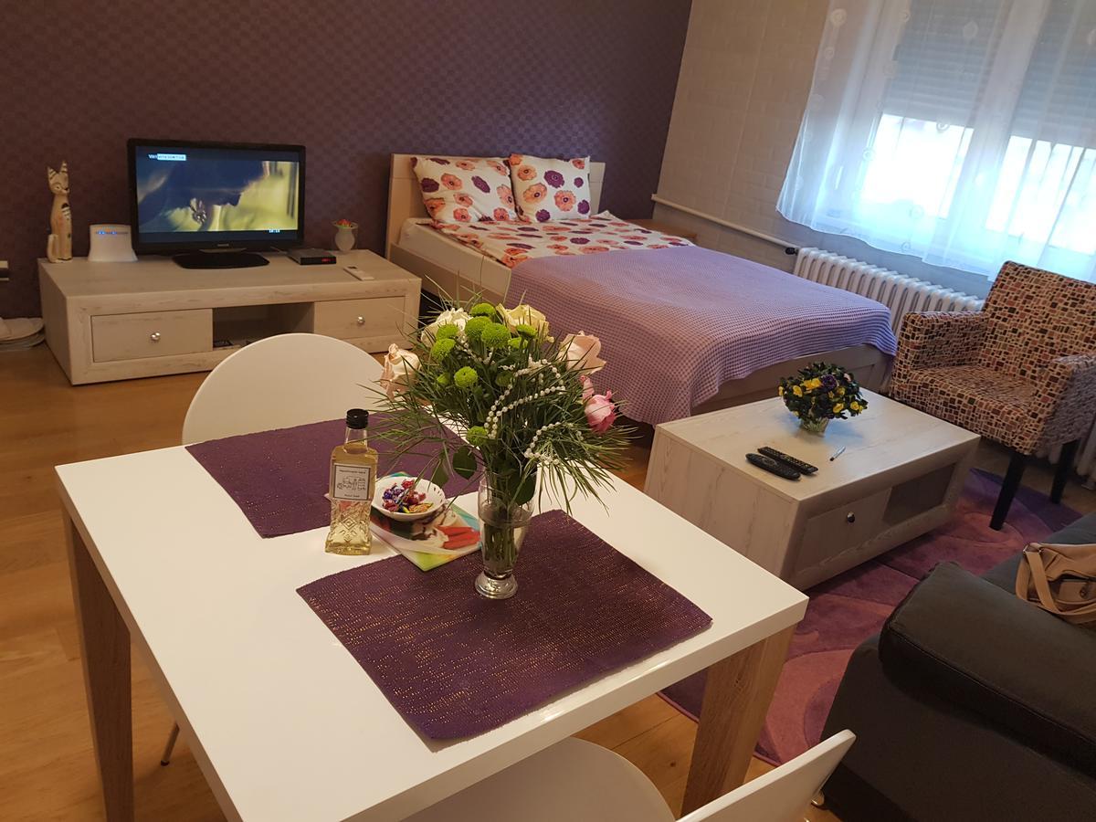 Sara - Modern Apartment In The City Center Novi Sad Esterno foto